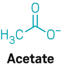 Acetate: 