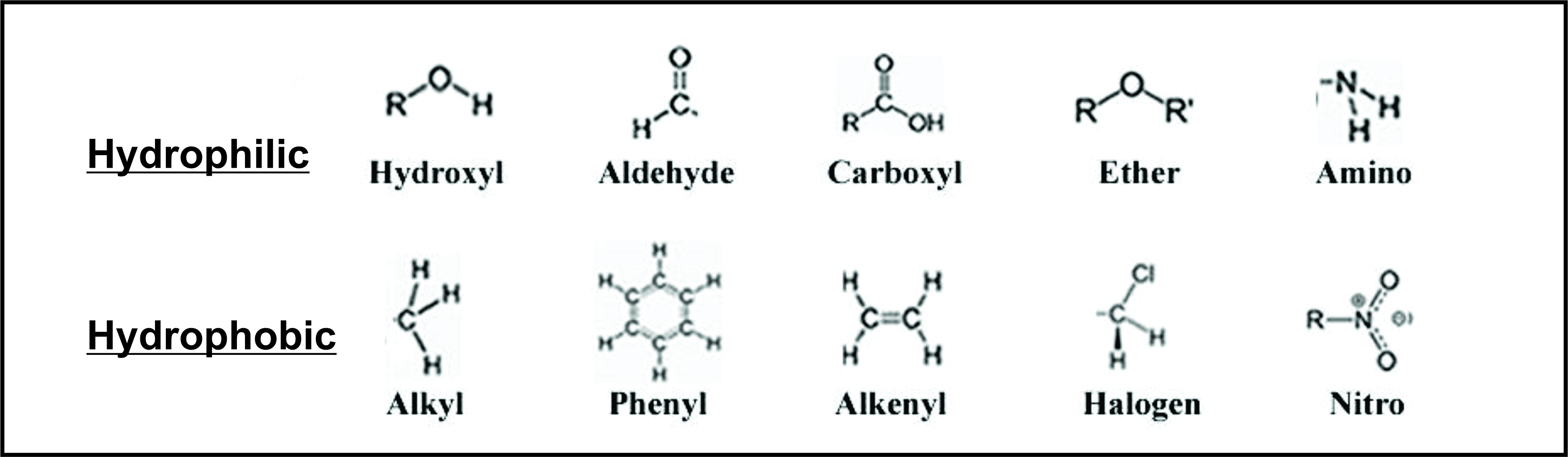 Hydrophobic Rest Hydrophilic Group:-